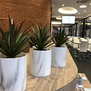 Hotel Victor Hugo, Toulouse