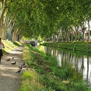 Apartment Bayard - Centre-ville - Gare - Confortable, Toulouse